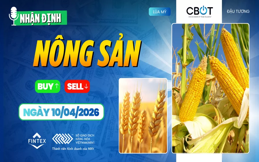 NHẬN ĐỊNH THỊ TRƯỜNG NÔNG SẢN NGÀY 10/04/2026